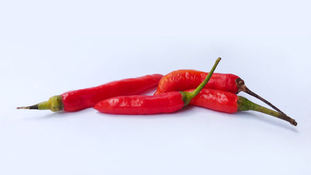 Various red chilies on a white backgroundの写真素材