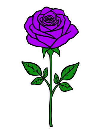 Illustration of purple roses with green leaves on a white backgroundのイラスト素材