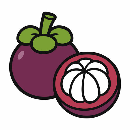 Cartoon illustration of mangosteen fruitのイラスト素材