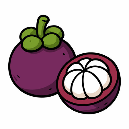 Cartoon illustration of mangosteen fruitのイラスト素材