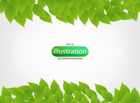 Green leavesのイラスト素材