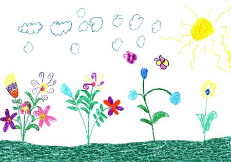 Child drawing butterfly and flowers natureの写真素材