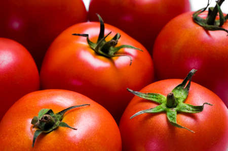 fresh  tomatoes  backgroundの写真素材