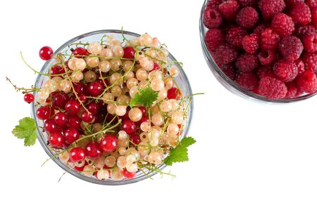 Fresh Raspberry and currant isolated on white backgroundの写真素材