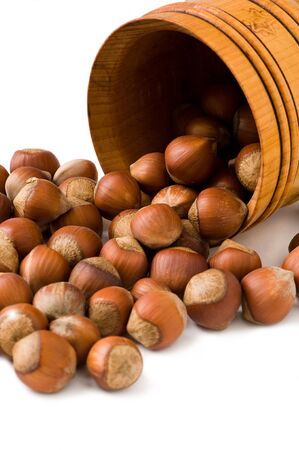 hazelnuts on whiteの写真素材