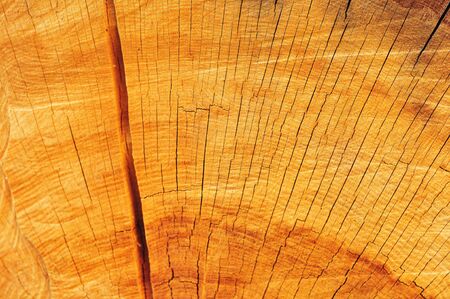 old wooden textureの写真素材