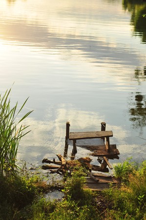 Summer river bankの写真素材