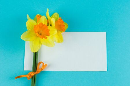 yellow narcissuses bouquet and paper cardの写真素材