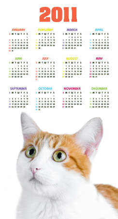 Vertical color calendar for 2011 year with cute red and white catの写真素材