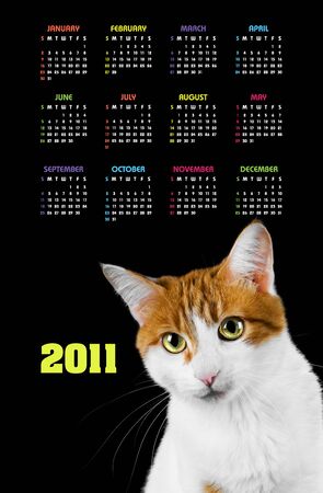 Vertical color calendar for 2011 year with cute red and white cat の写真素材