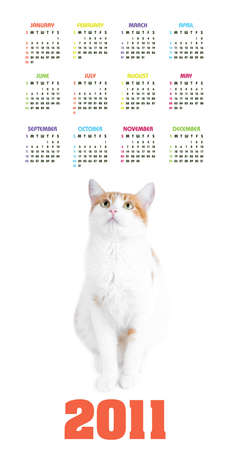 Vertical color calendar for 2011 year with cute red and white catの写真素材