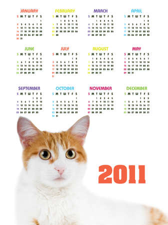 Vertical color calendar for 2011 year with cute red and white catの写真素材
