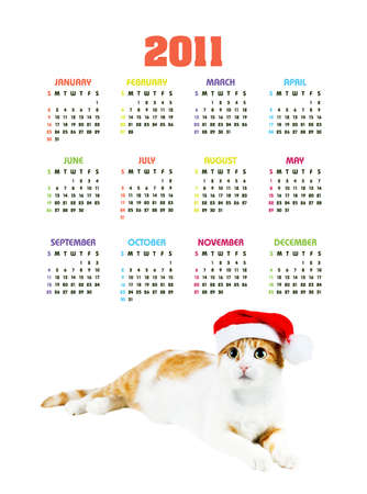 Vertical color calendar for 2011 year with cute red and white cat の写真素材