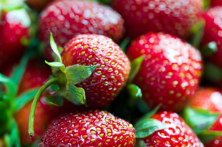 Fresh Ripe Strawberries Backgroundの写真素材