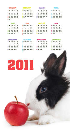 Vertical color calendar for 2011 year with rabbit and red apple の写真素材