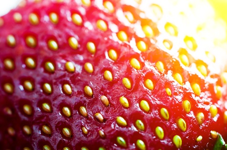 Strawberry texture. Macro shotの写真素材