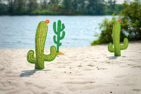 Funny cartoon cactuses in desertの写真素材