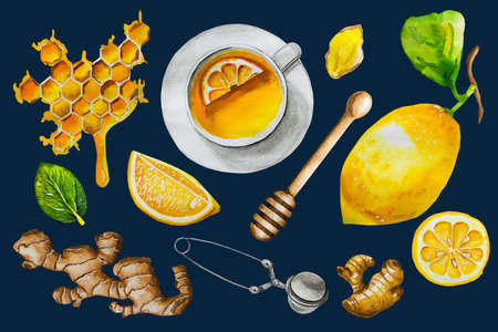 Watercolor set of lemon tea elements isolated on whiteの写真素材
