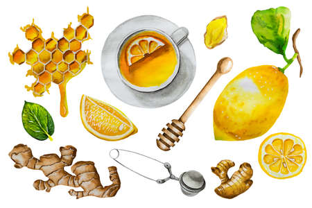 Watercolor set of lemon tea elements isolated on whiteの写真素材