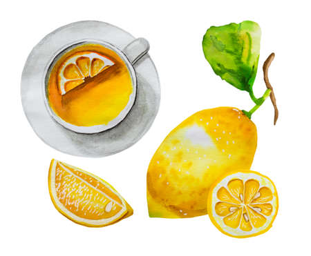 Watercolor set of lemon tea elements isolated on whiteの写真素材