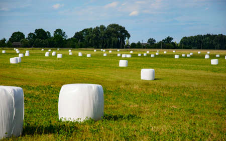 A way to preserve hay quality is animal feed in vacuum packaging.の写真素材
