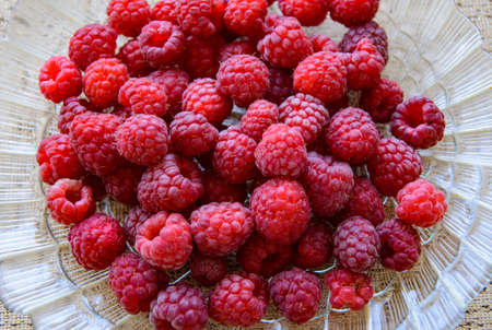 The healthy berries of ripe raspberries are prepared for consumption.