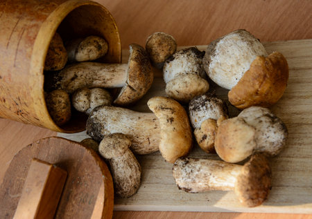 Fresh porcini mushrooms collected in the forest for cooking.の写真素材