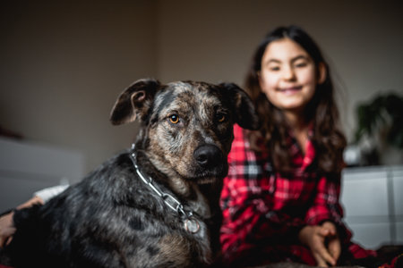 grey dog watching camera with her owner smiling girl in red pajamaの写真素材