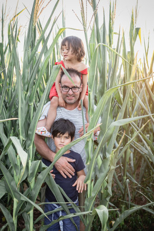 baby sitting on the neck of the father shows her tongue inside cornfield at sunsetの写真素材