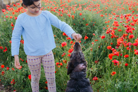 girl in blue blouse playing with her dog in field of poppies