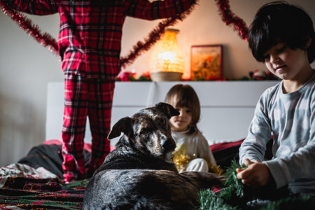 grey dog watching camera with three little girls playing on the bed behindの写真素材