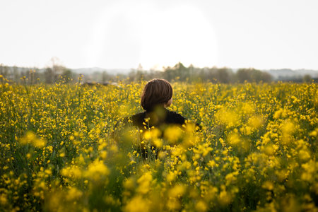 walking away little child in the field with yellow flowersの写真素材