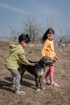 two girls walking together with their dog outdoorsの写真素材