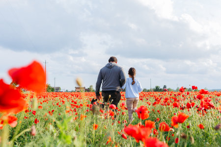 rear view of father and daughter walking away in the poppy field and their dog following themの写真素材