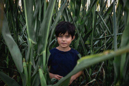 smiling child with short dark hair standing in corn fieldの写真素材