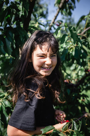 portrait of smiling child picking up cherries from the treeの写真素材