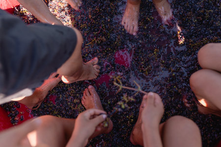 upper view of children feet crashing grapes in a big bowlの写真素材