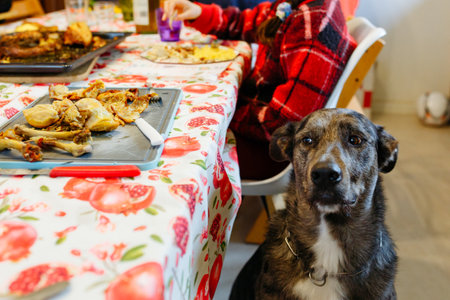 dog sitting next to the festive table waiting for the foodの写真素材