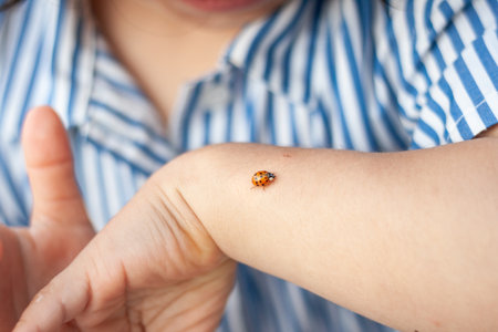close-up of ladybug sitting on child handsの写真素材