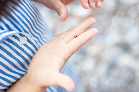 close-up on child hands with ladybug on one fingerの写真素材