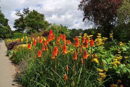 Christchurch on South island, New Zealandの写真素材