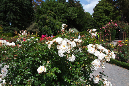 Christchurch on South island, New Zealandの写真素材