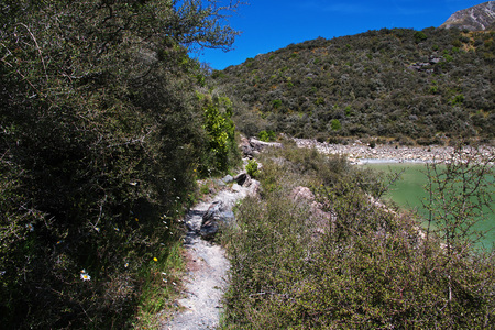 National park Mount Cook, New Zealandの写真素材