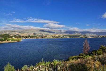 Nature of South island, New Zealandの写真素材
