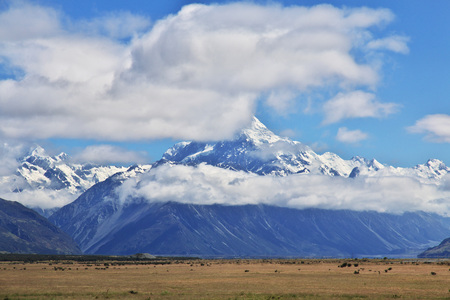 Nature of South island, New Zealandの写真素材