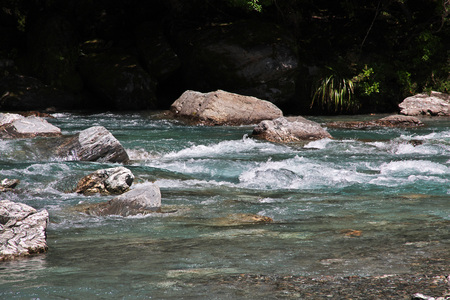 Nature of South island, New Zealand