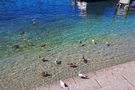 Queenstown city - entertainment, New Zealandの写真素材