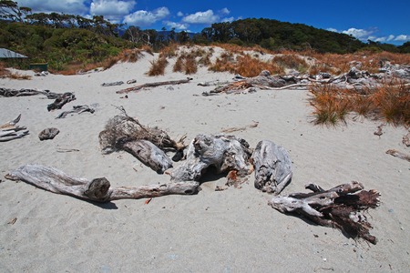 Tasman sea coast on the South island, New Zealandの写真素材