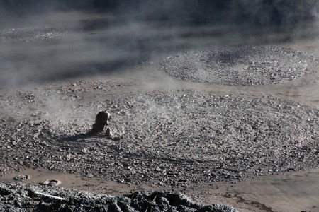 Country of geysers in, Rotorua, New Zealand