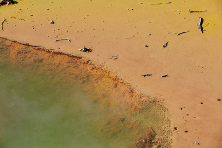 Country of geysers in, Rotorua, New Zealandの写真素材